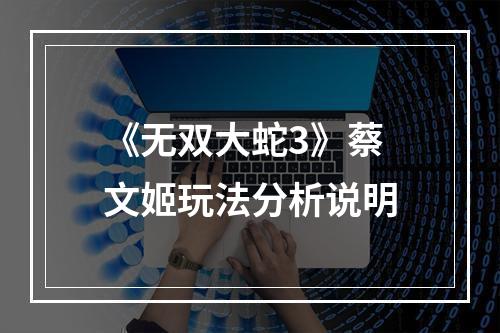 《无双大蛇3》蔡文姬玩法分析说明