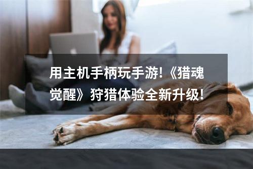 用主机手柄玩手游!《猎魂觉醒》狩猎体验全新升级!