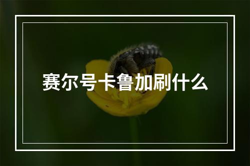 赛尔号卡鲁加刷什么