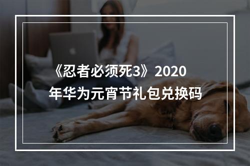 《忍者必须死3》2020年华为元宵节礼包兑换码