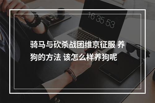 骑马与砍杀战团维京征服 养狗的方法 该怎么样养狗呢