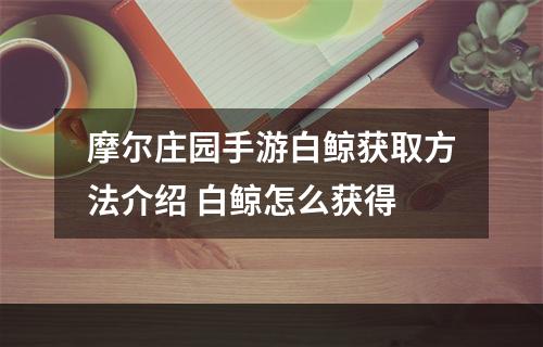 摩尔庄园手游白鲸获取方法介绍 白鲸怎么获得