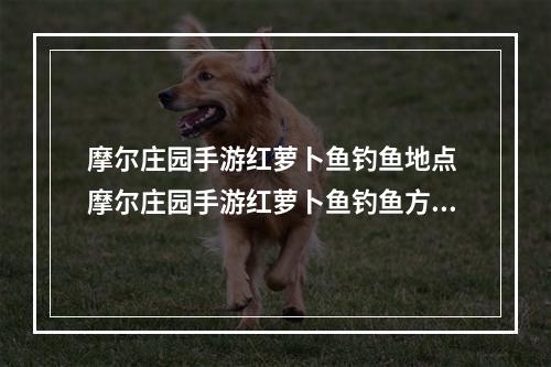 摩尔庄园手游红萝卜鱼钓鱼地点 摩尔庄园手游红萝卜鱼钓鱼方法