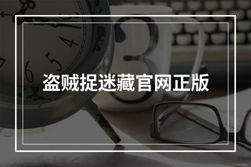 盗贼捉迷藏官网正版