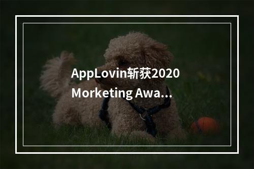 AppLovin斩获2020 Morketing Awards“灵眸奖”两大重量级奖项