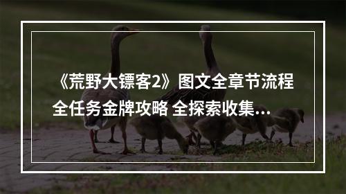 《荒野大镖客2》图文全章节流程全任务金牌攻略 全探索收集攻略