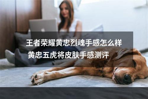 王者荣耀黄忠烈魂手感怎么样 黄忠五虎将皮肤手感测评