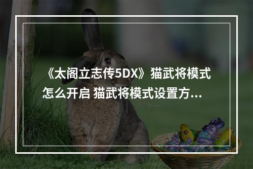 《太阁立志传5DX》猫武将模式怎么开启 猫武将模式设置方法