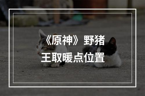 《原神》野猪王取暖点位置