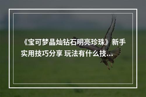 《宝可梦晶灿钻石明亮珍珠》新手实用技巧分享 玩法有什么技巧？