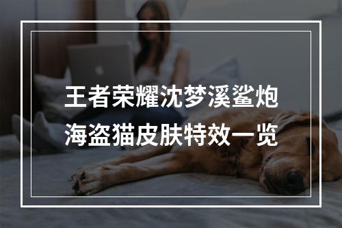 王者荣耀沈梦溪鲨炮海盗猫皮肤特效一览