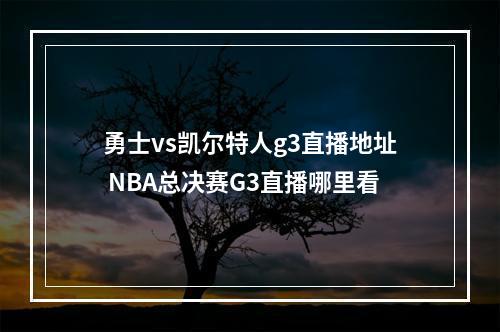 勇士vs凯尔特人g3直播地址 NBA总决赛G3直播哪里看