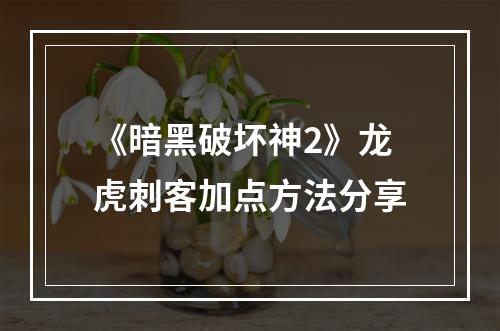 《暗黑破坏神2》龙虎刺客加点方法分享