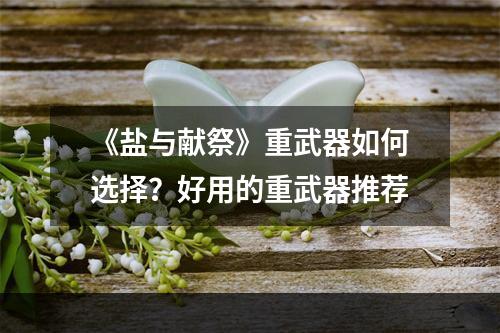 《盐与献祭》重武器如何选择？好用的重武器推荐