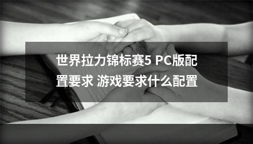 世界拉力锦标赛5 PC版配置要求 游戏要求什么配置