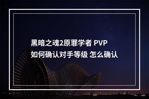 黑暗之魂2原罪学者 PVP如何确认对手等级 怎么确认