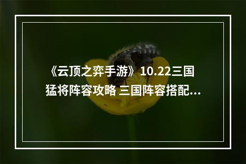 《云顶之弈手游》10.22三国猛将阵容攻略 三国阵容搭配运营攻略