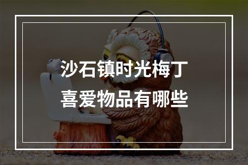 沙石镇时光梅丁喜爱物品有哪些