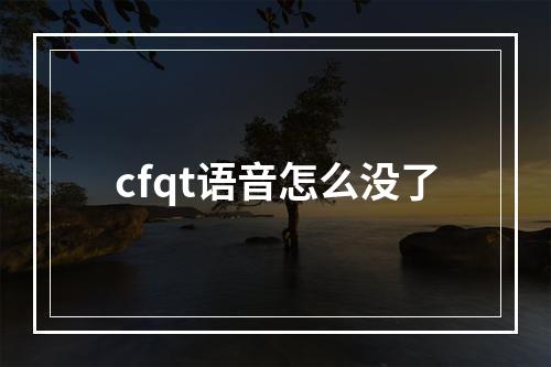 cfqt语音怎么没了