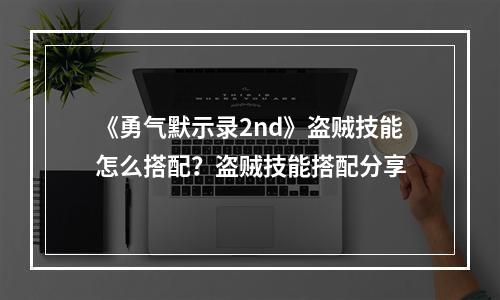 《勇气默示录2nd》盗贼技能怎么搭配？盗贼技能搭配分享