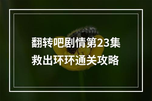 翻转吧剧情第23集救出环环通关攻略