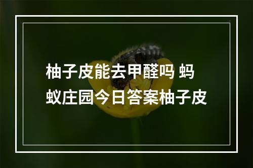 柚子皮能去甲醛吗 蚂蚁庄园今日答案柚子皮