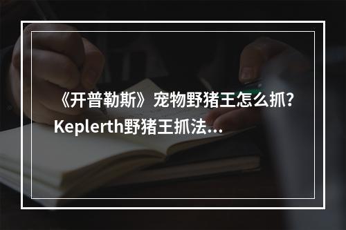 《开普勒斯》宠物野猪王怎么抓？Keplerth野猪王抓法技巧