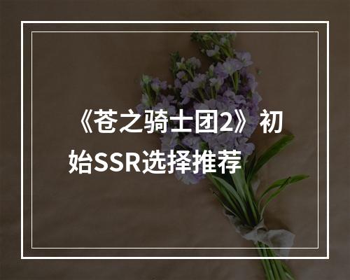 《苍之骑士团2》初始SSR选择推荐