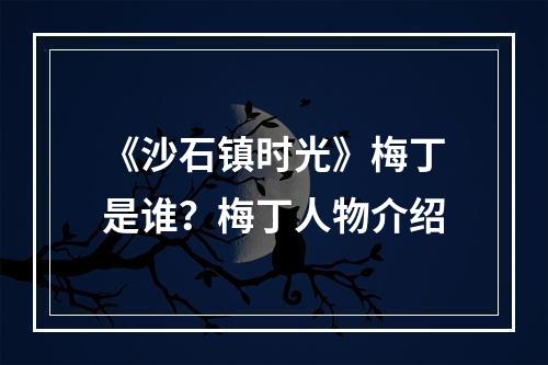 《沙石镇时光》梅丁是谁？梅丁人物介绍