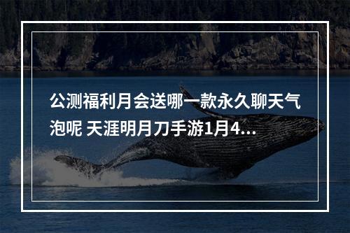 公测福利月会送哪一款永久聊天气泡呢 天涯明月刀手游1月4日每日一题答案