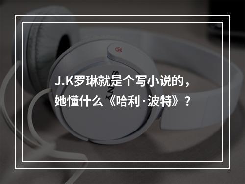 J.K罗琳就是个写小说的，她懂什么《哈利·波特》？