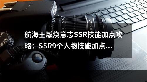 航海王燃烧意志SSR技能加点攻略：SSR9个人物技能加点大全[视频][多图]