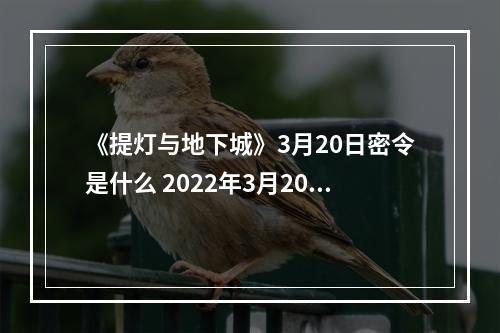 《提灯与地下城》3月20日密令是什么 2022年3月20日密令一览