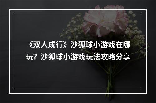 《双人成行》沙狐球小游戏在哪玩？沙狐球小游戏玩法攻略分享