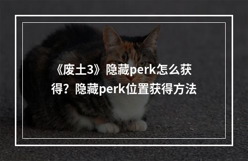 《废土3》隐藏perk怎么获得？隐藏perk位置获得方法