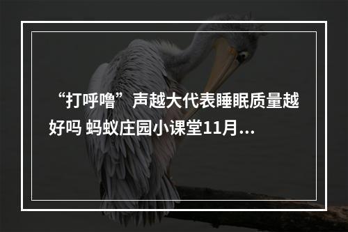 “打呼噜”声越大代表睡眠质量越好吗 蚂蚁庄园小课堂11月17日答案