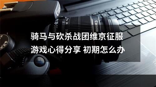 骑马与砍杀战团维京征服 游戏心得分享 初期怎么办