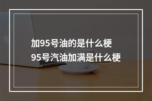 加95号油的是什么梗 95号汽油加满是什么梗