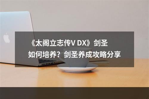 《太阁立志传V DX》剑圣如何培养？剑圣养成攻略分享