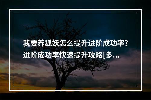 我要养狐妖怎么提升进阶成功率？进阶成功率快速提升攻略[多图]