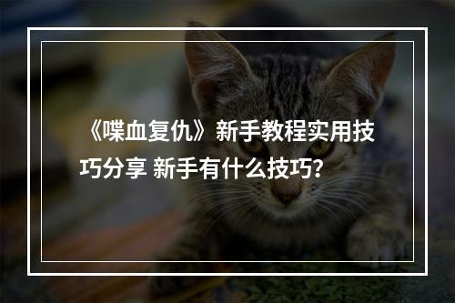 《喋血复仇》新手教程实用技巧分享 新手有什么技巧？