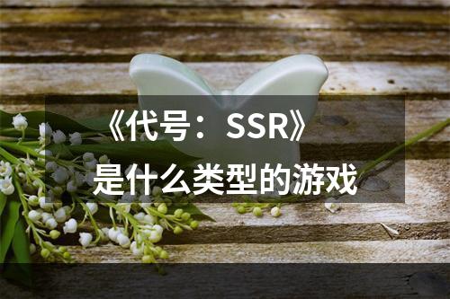 《代号：SSR》是什么类型的游戏