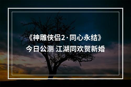 《神雕侠侣2·同心永结》今日公测 江湖同欢贺新婚