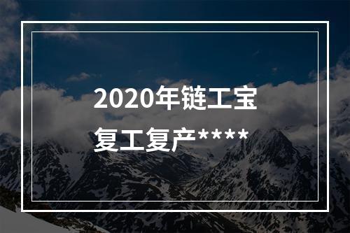 2020年链工宝复工复产****