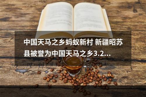 中国天马之乡蚂蚁新村 新疆昭苏县被誉为中国天马之乡3.26