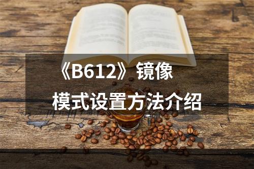 《B612》镜像模式设置方法介绍