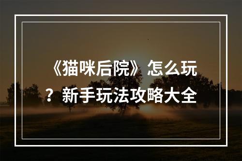 《猫咪后院》怎么玩？新手玩法攻略大全