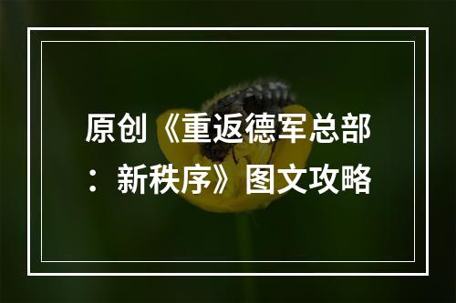 原创《重返德军总部：新秩序》图文攻略