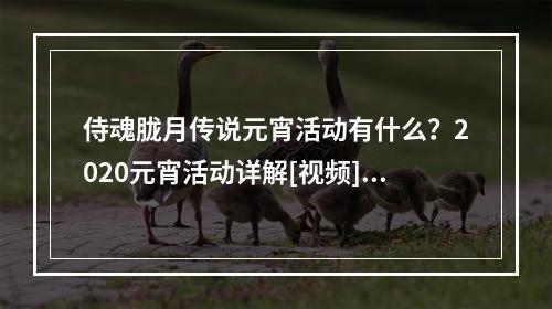 侍魂胧月传说元宵活动有什么？2020元宵活动详解[视频][多图]