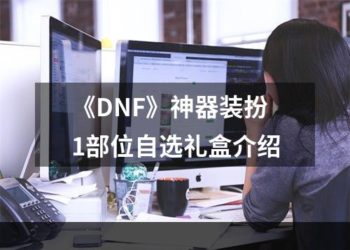 《DNF》神器装扮1部位自选礼盒介绍